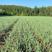 Gael Blard, La Ferme Du Colombier