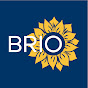 Brio News! logo
