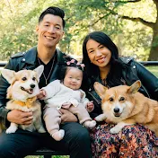 Corgis & Chaos