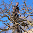 EbPXEZuOmtE-channel-avatar-gardener in paradise