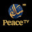 avatar of @zakir-naik2