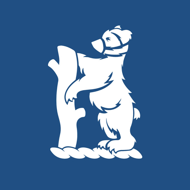 Warwickshire Cricket