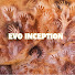 Y5zUSkqMb7o-channel-avatar-Evo Inception