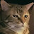 @Charliesupahot Avatar