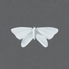 White Mothアイコン画像