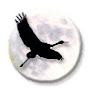 Renewable Wisdom logo