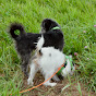 Tilney & Lottie
