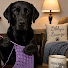 QBsy8CPJQb0-channel-avatar-Stitching Solo with Libby