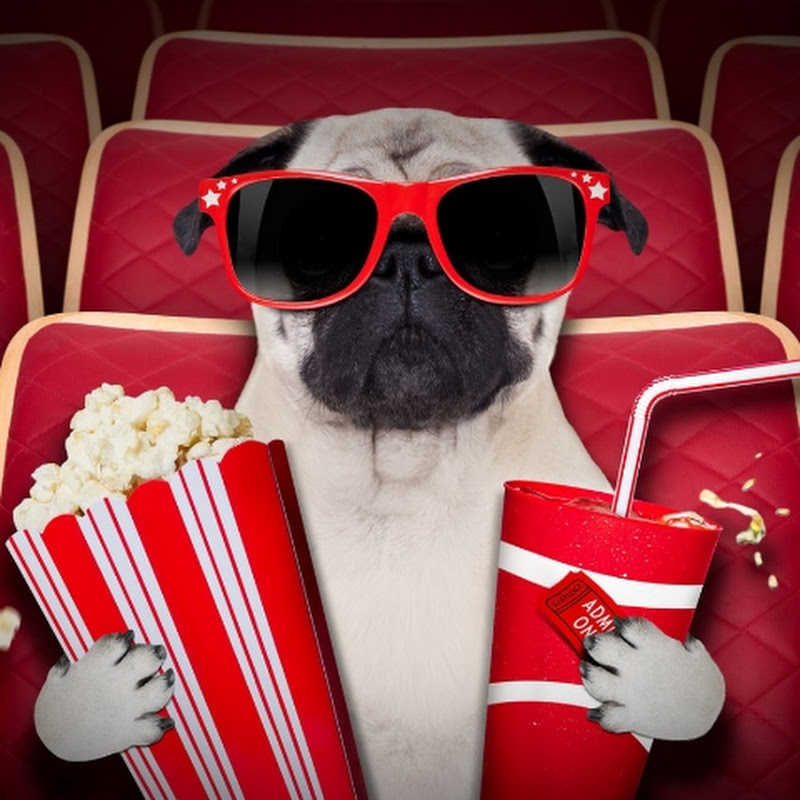Cine Curioso