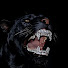 0GGWjuDLGcw-channel-avatar-GAURAVJXXT