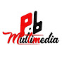 Palashbari Multimedia logo