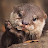 @LLadies_Man_217 Avatar