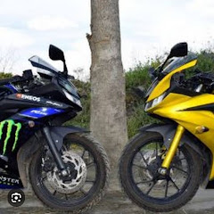 Twin throttlers TTF