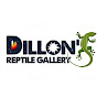 Reptile Gallery