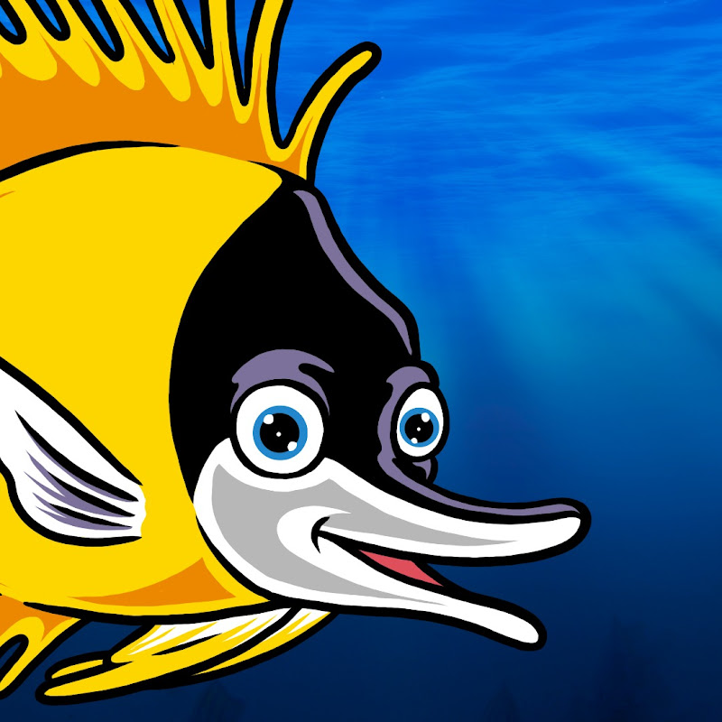 Blumentier Meerwasseraquaristik