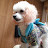 @구름마미-k2f