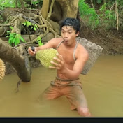 Survival in the rainforest 