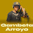 Gambeta Arroyo