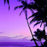 8fLk8qWhLzE-channel-avatar-Satori Shine