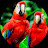 @sabhiworldmusic16k Avatar