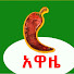 s5fi6DOlGOU-channel-avatar-Alemneh Wasse