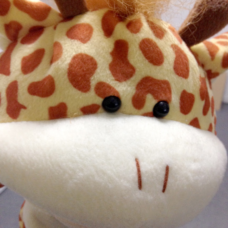 すほりんアクアリウム