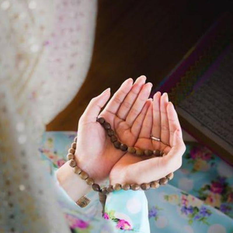 Islamic Lifestyle 1M