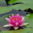 @jasnoorgrewal6583 Avatar