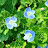 @user-sj2239