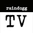 iiIDFn56G2U-channel-avatar-Raindogg TV