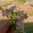 @رهوفه3و