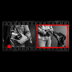 Walk Like Alice Avatar