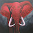 Red Elephant