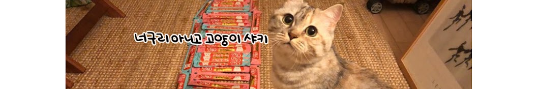 ë„ˆêµ¬ë¦¬ ì•„ë‹ˆê³  ê³ ì–‘ì´ ìƒ¤í‚¤ Shaki the CAT Аватар канала YouTube