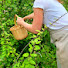 XJJf4r5h4bc-channel-avatar-Redbud Haven