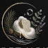 jmZSoRFVP9o-channel-avatar-Soft Noir Studio