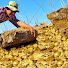 adgrkDupuOI-channel-avatar-Life Finding Treasure 