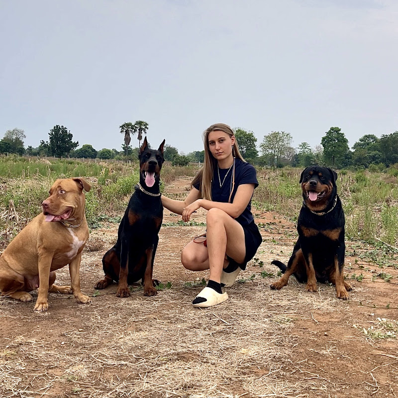 Life with Alice & Her Guardians 