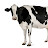 @Cow_milk