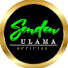 T_QFisaTtFU-channel-avatar-Senden Ulama