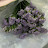 Lavenderbae