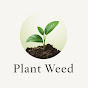 Plant Weed logo