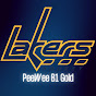 Prior Lake Peewee B1 Gold Hockey 2024 logo