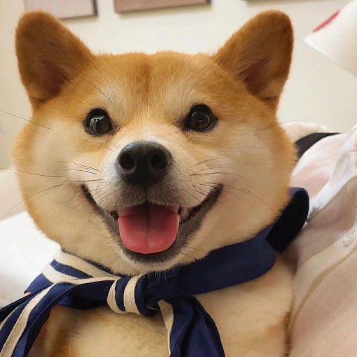 チャンネル画像