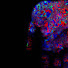 Ikx6_yxW2ys-channel-avatar-dj acroamatic