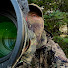 g25DKacSaTs-channel-avatar-Jesper Vang Falkenberg