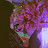 @calligraphybahar1405