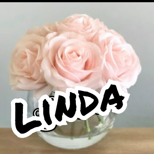 les Vlogs de Linda