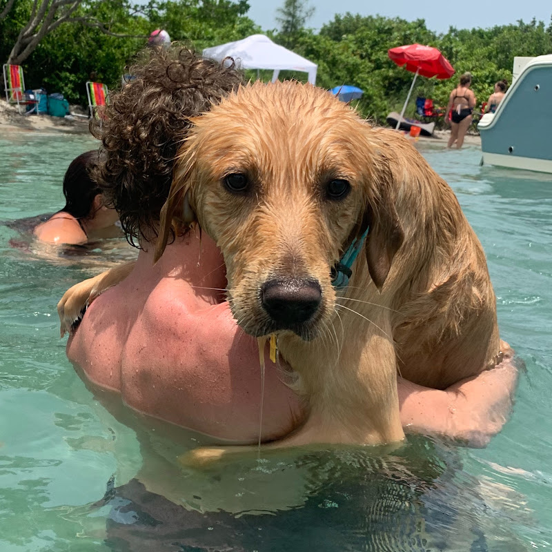 Golden Life of Roscoe