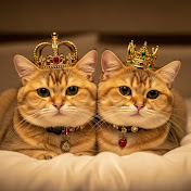 LuLu Catty